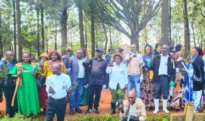 Butembo : des arbres plantés pour lutter contre le réchauffement climatique