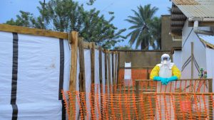 Quand le changement climatique réveille les virus d’Ebola